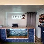 Big Tree Hostel