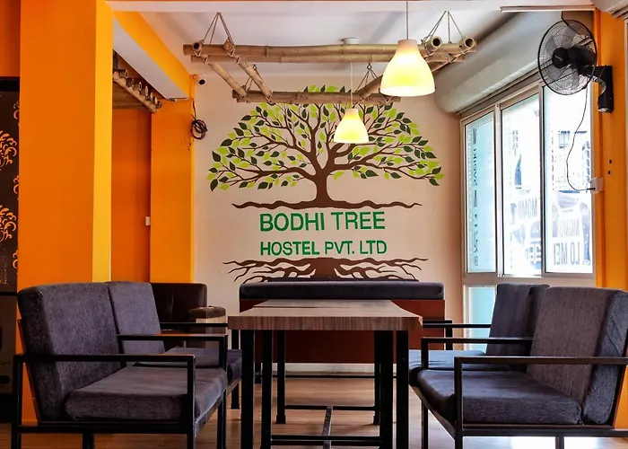 Bodhi Tree Hostel