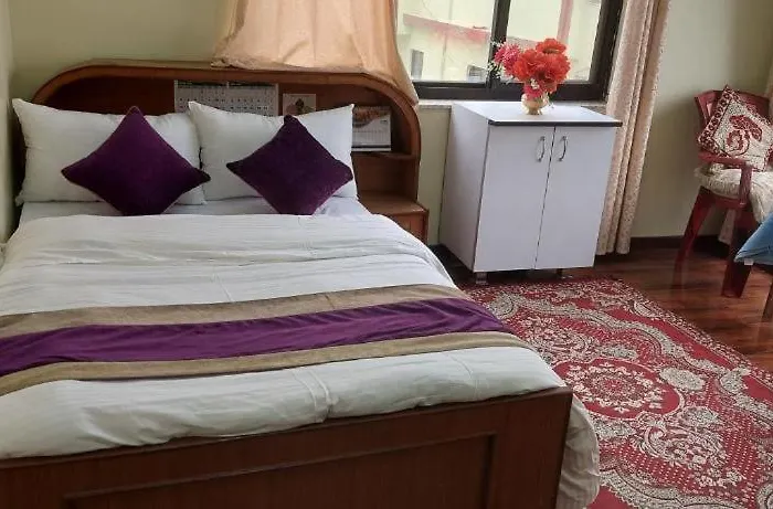 Kathmandu Airport View Hotel And Lodge