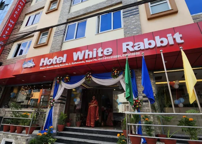 Hotel White Rabbit