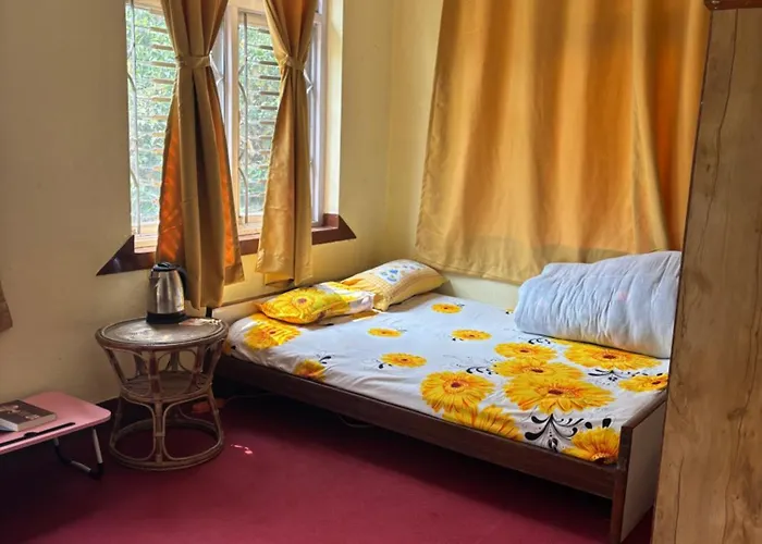 Osho Gaurishankar Meditation Center