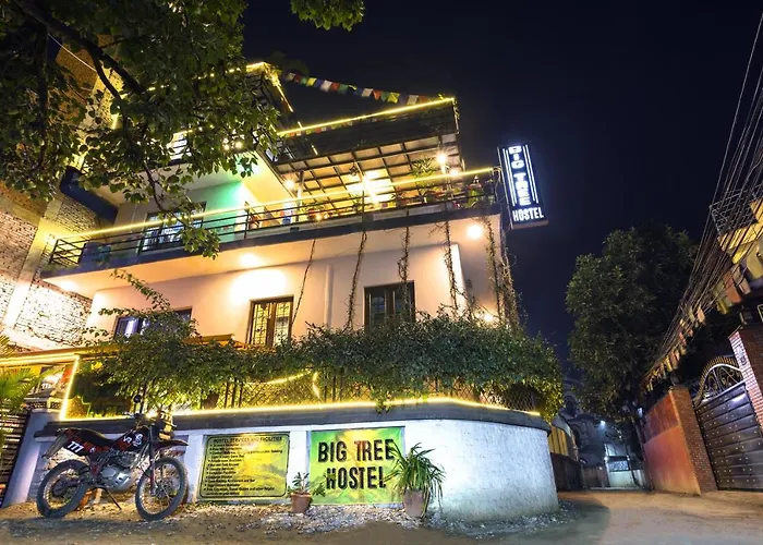 Big Tree Hostel