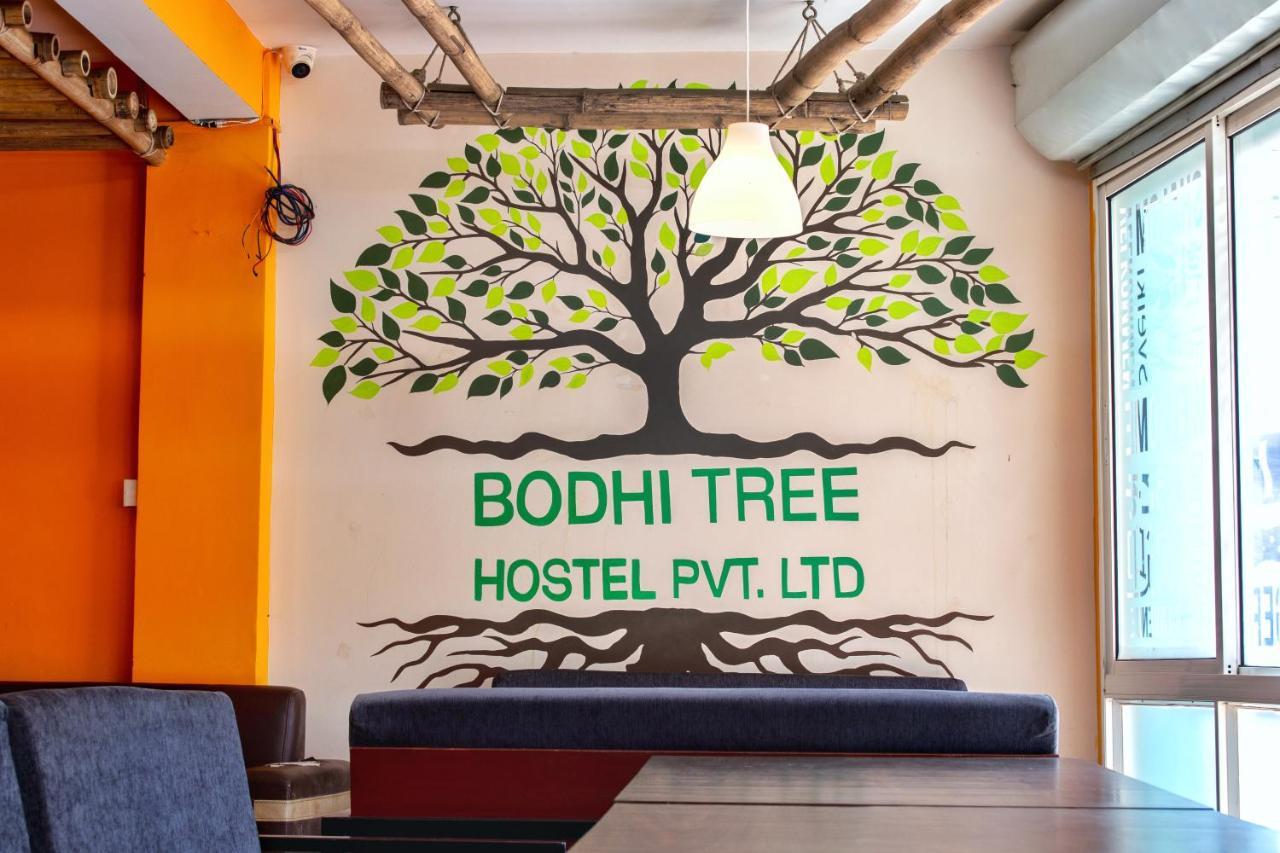Hostel Bodhi Tree Kathmandu
