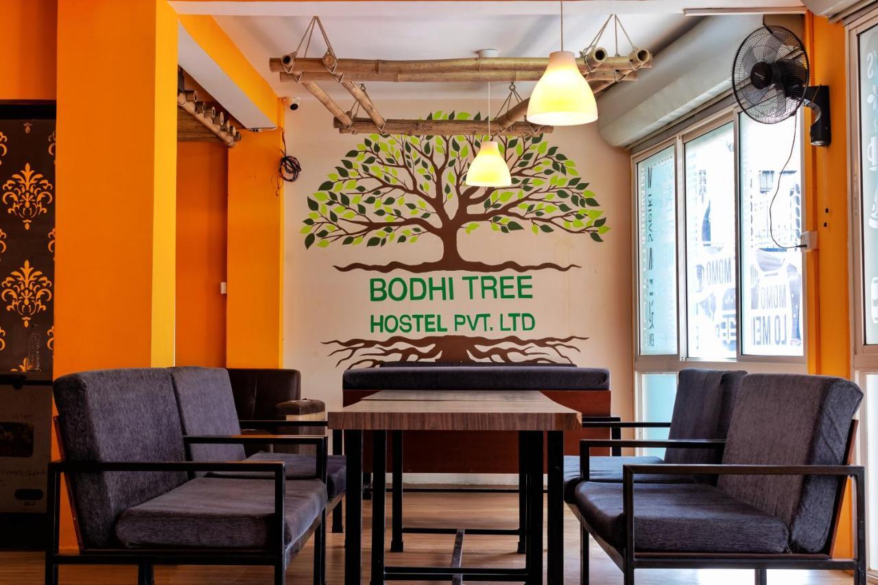 Bodhi Tree Kathmandu