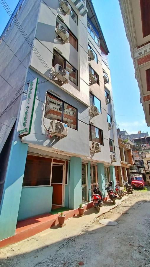 Bodhi Tree Hostel Kathmandu