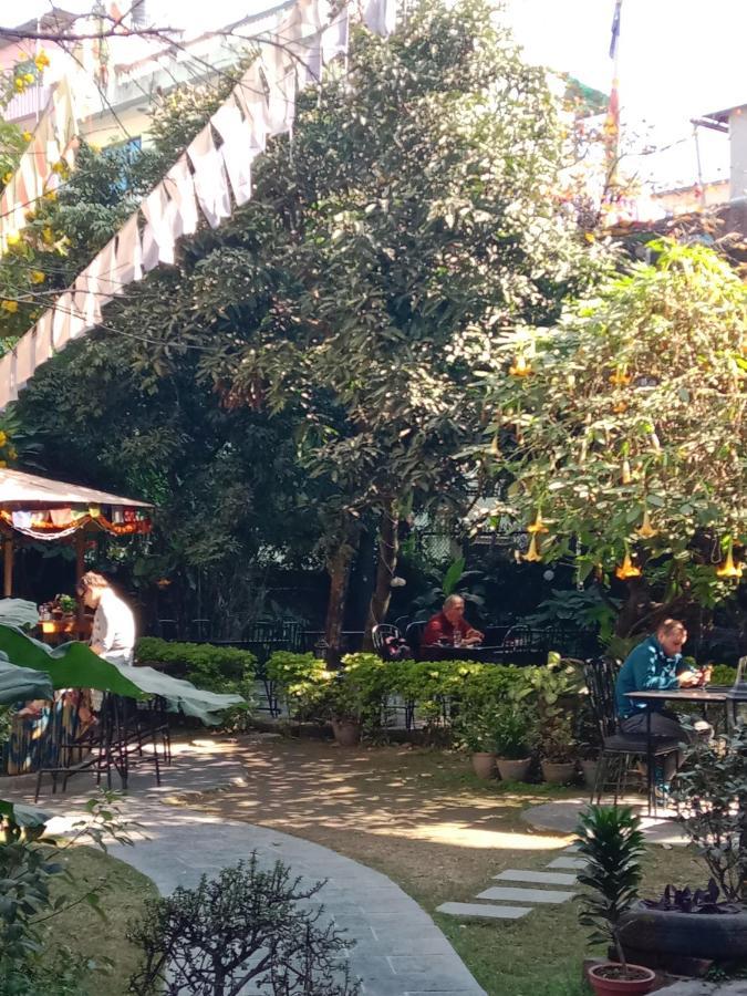 Hotel Lotus Garden 3*