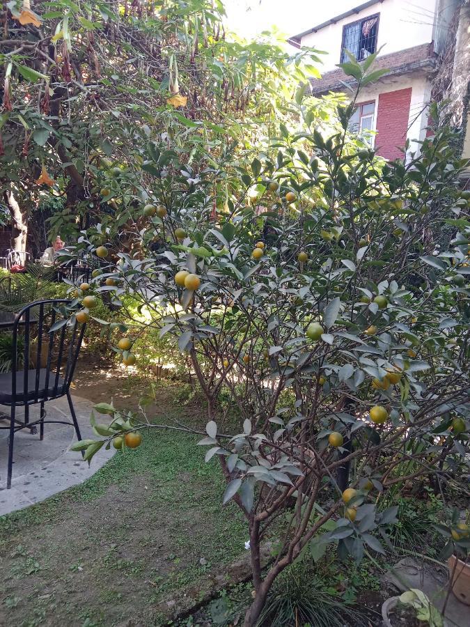 Hotel Lotus Garden 3*