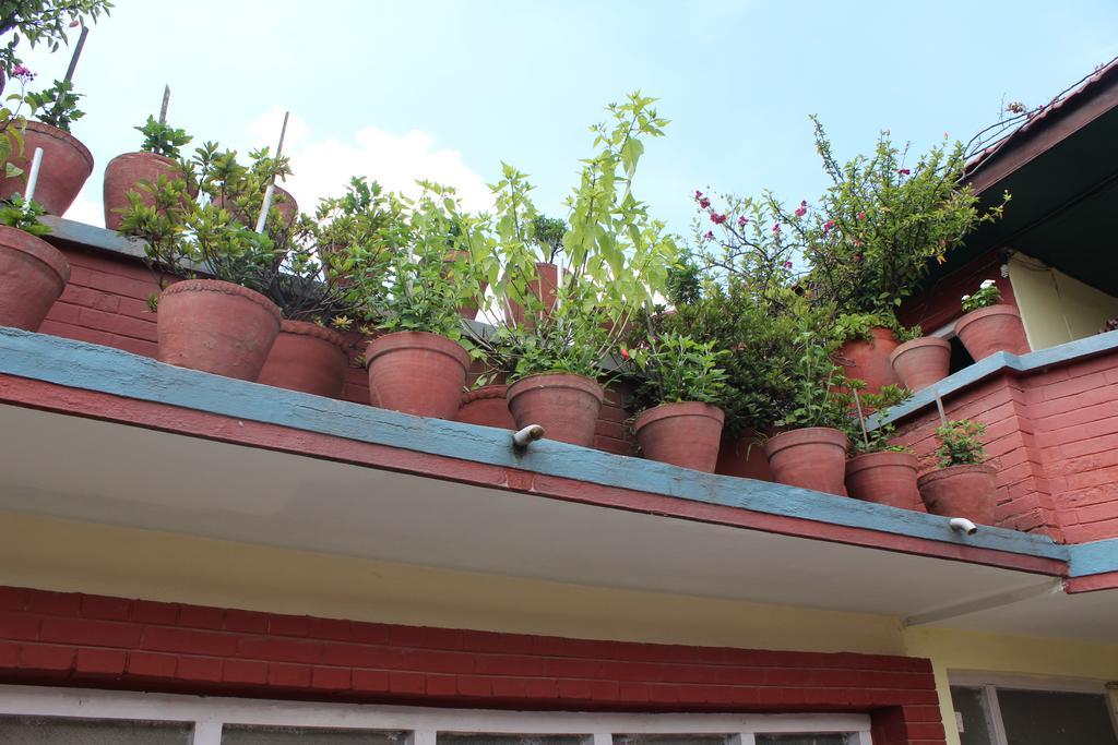 Red Planet Guest house Kathmandu