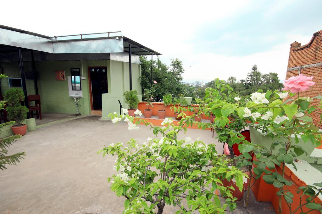Hotel Backpackers