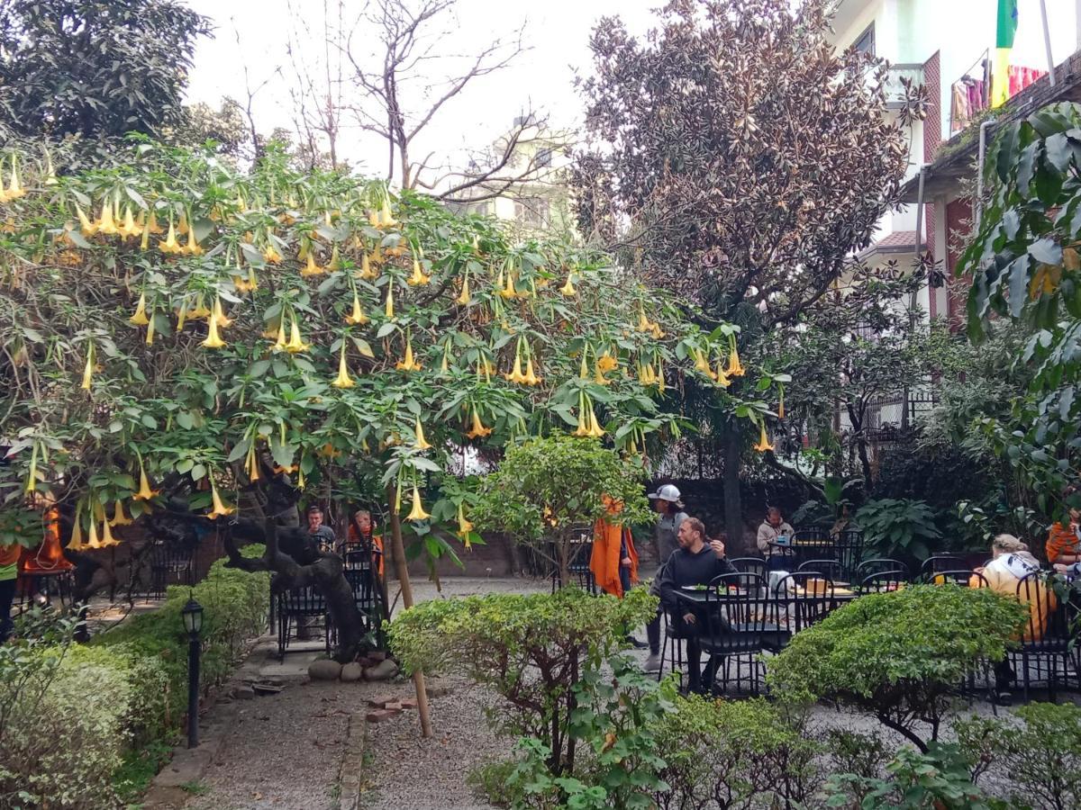 Lotus Garden Hotel Kathmandu