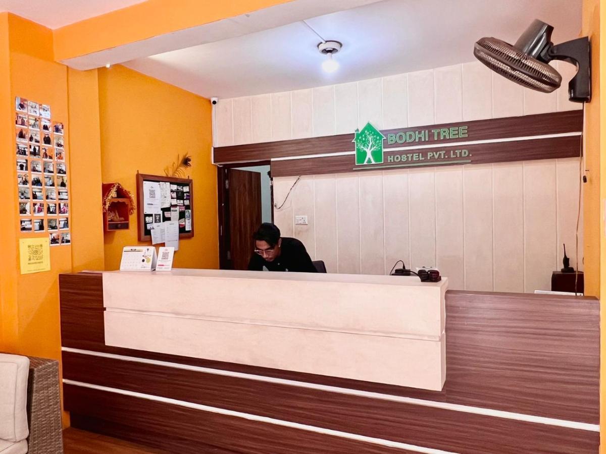 Bodhi Tree Hostel