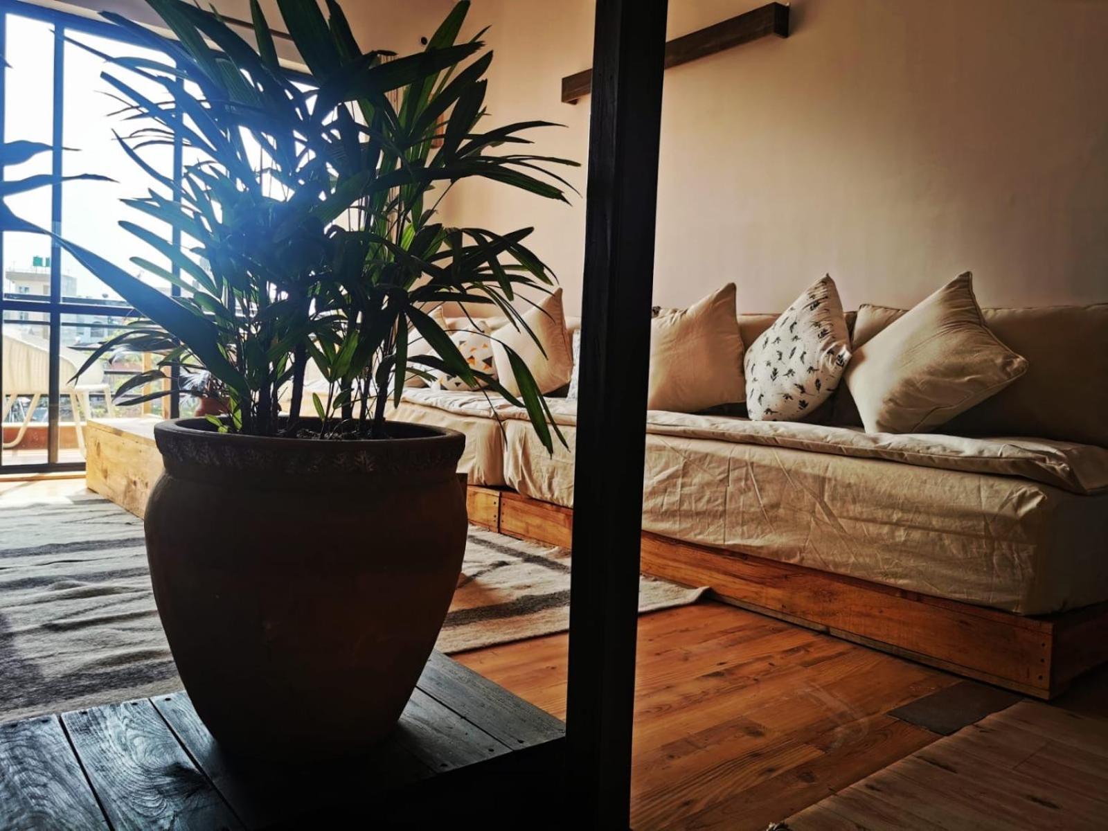 Shalu's Apartment *