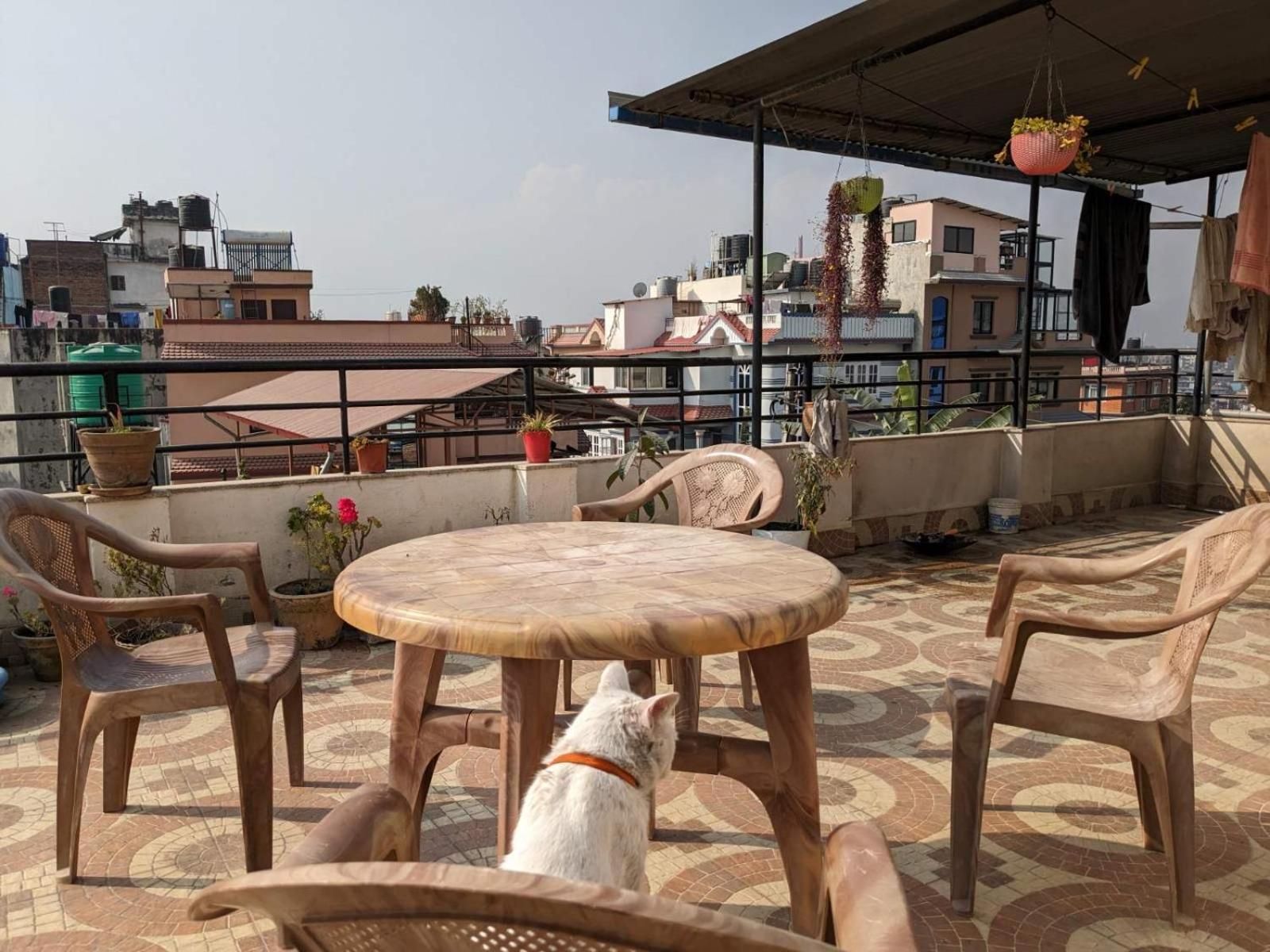 Family With Rooftop Access And Mountain View Homestay Kathmandu