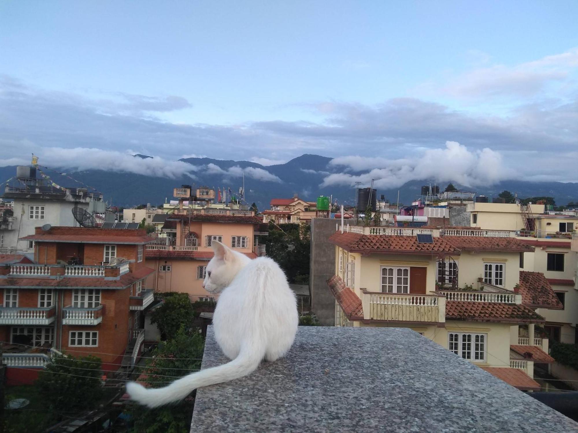 Family With Rooftop Access And Mountain View Kathmandu