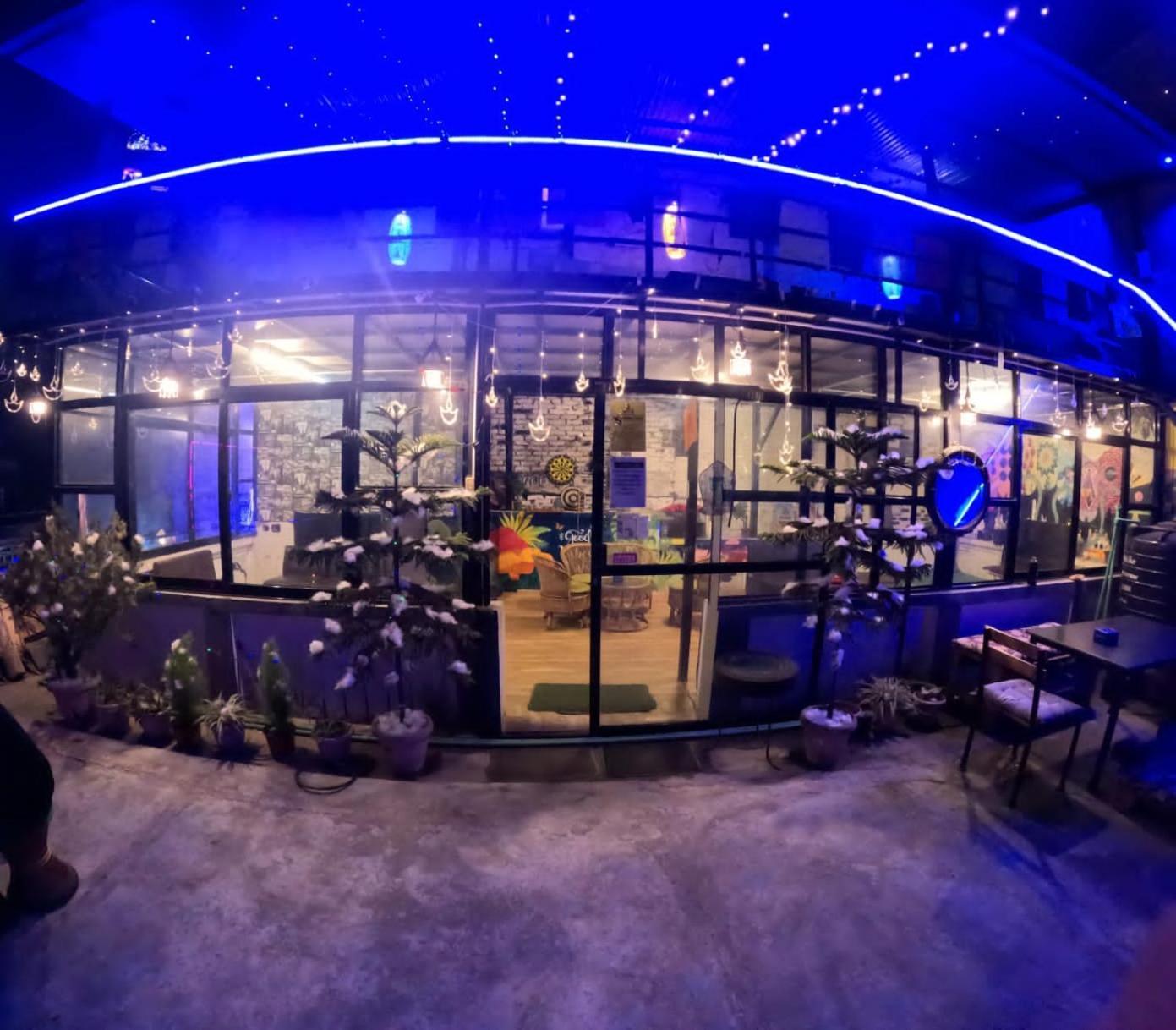 Big Tree Hostel *