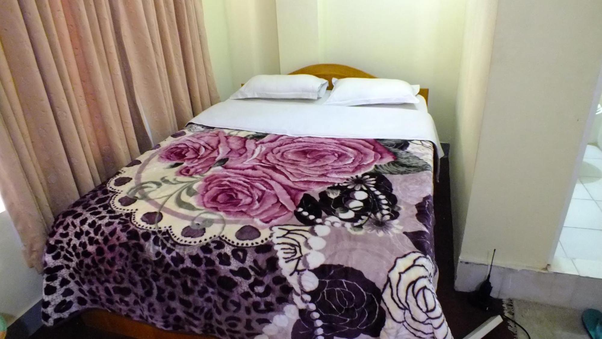 Dolphin Guest house *