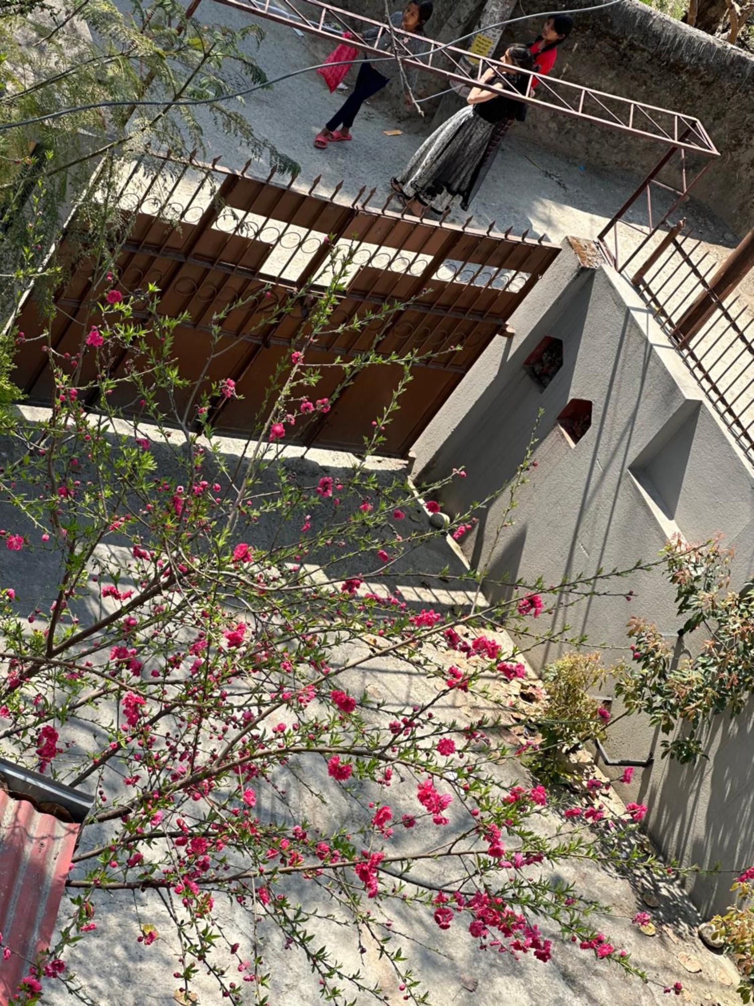Greenhome Ekasharam Homestay Kathmandu