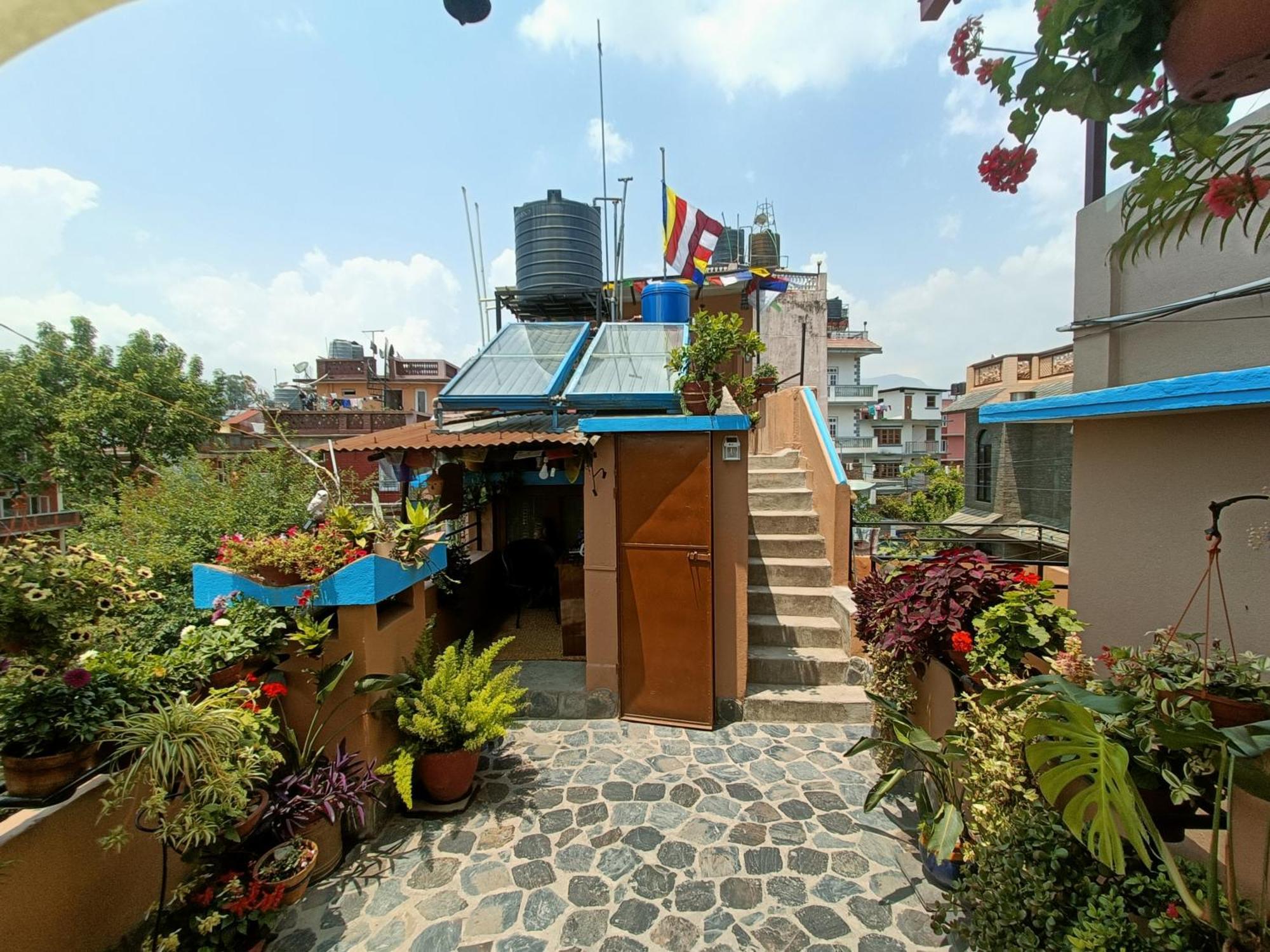 Himalaya Guest house Kathmandu
