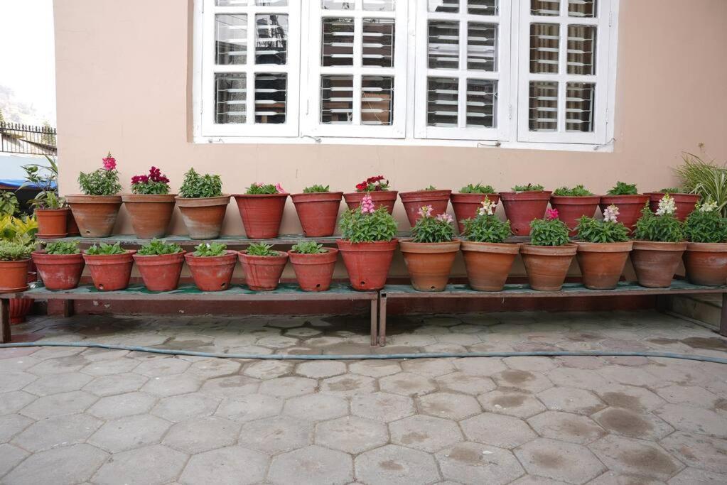 Anita's Apartamento