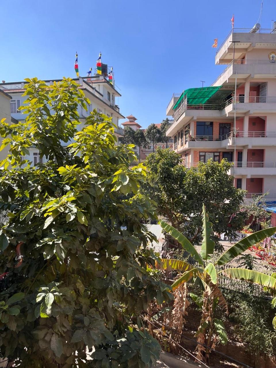 Sunny And Quiet In Boudha