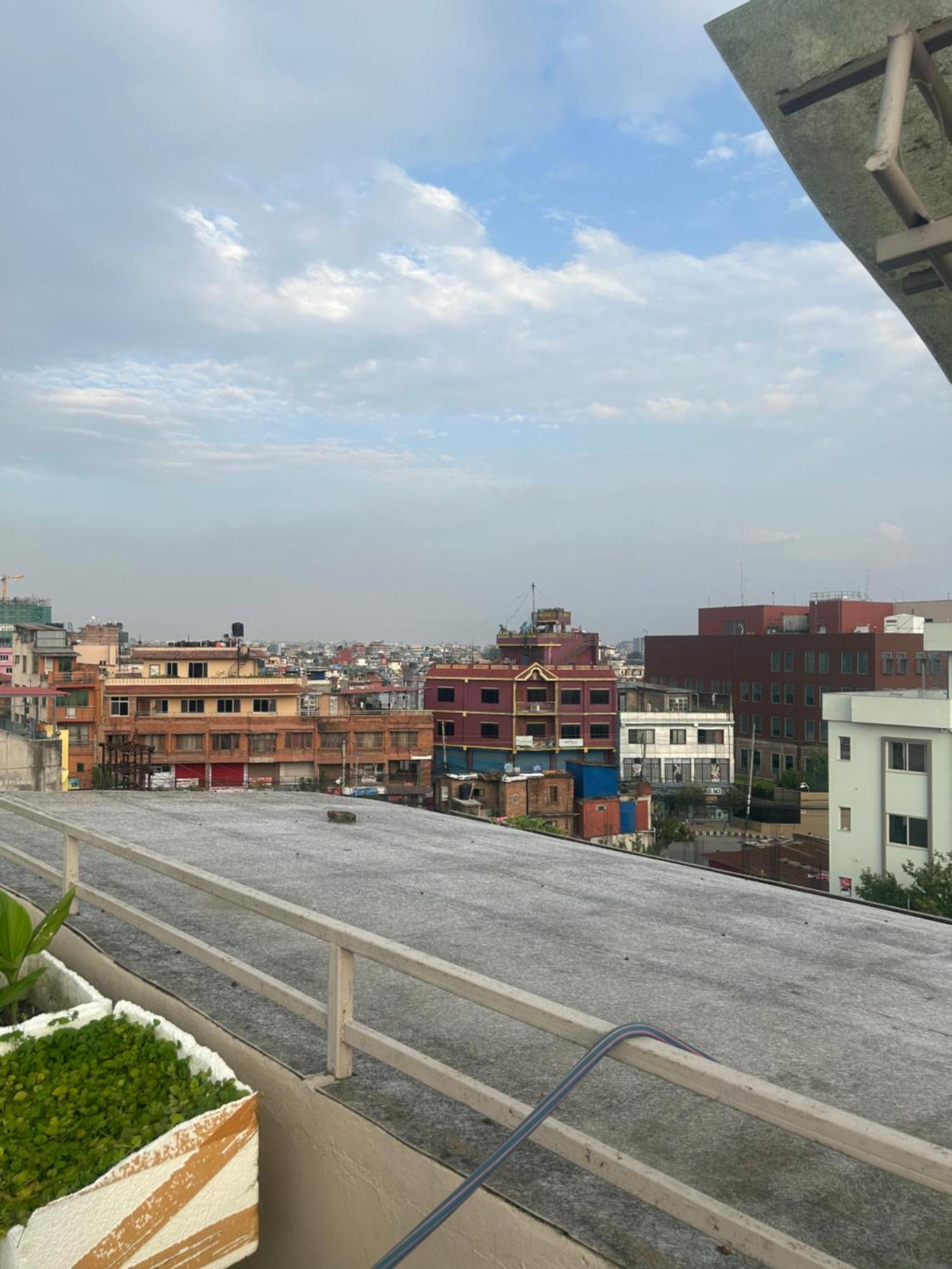 Maharajgunj Warm *
