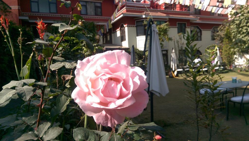 Rokpa 2* Kathmandu