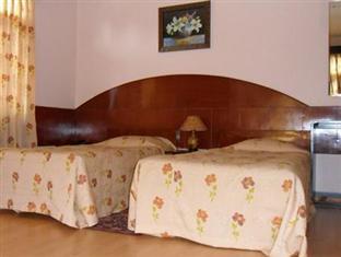 Hotel Shakti 3*