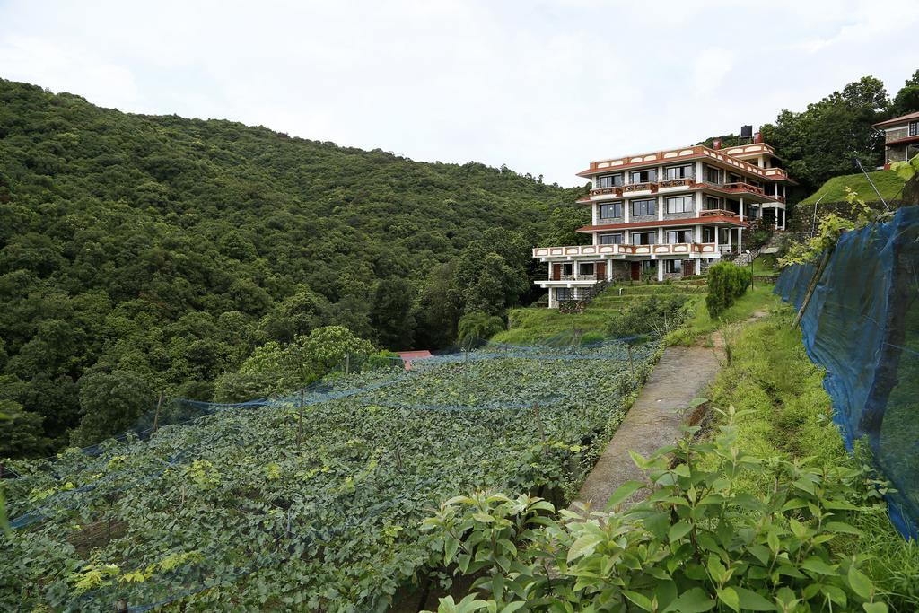 Pataleban Vineyard 3*