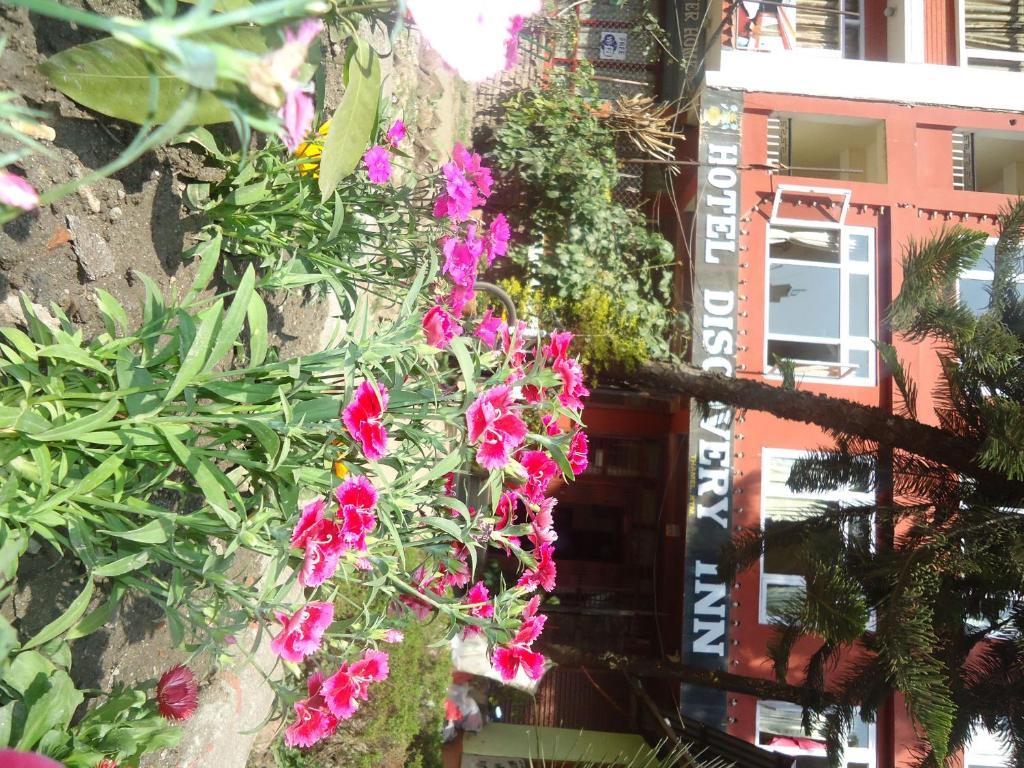 Discovery Bed & Breakfast