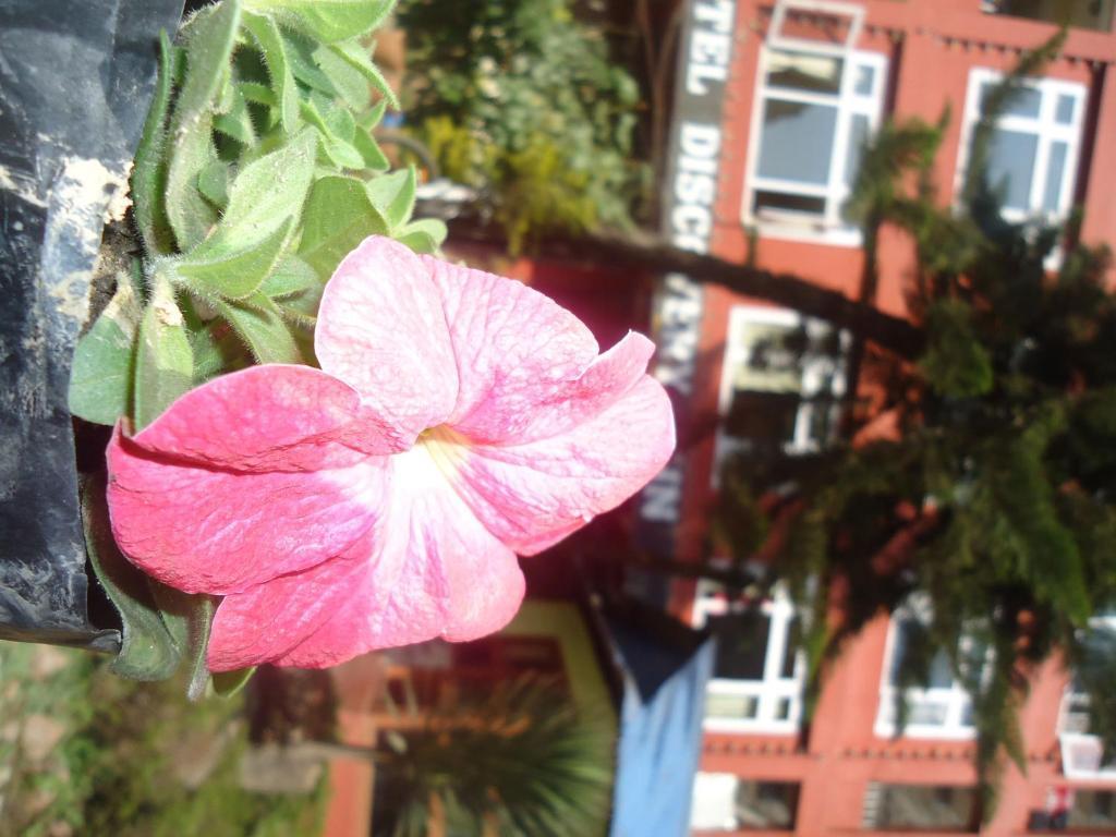 Bed & Breakfast Discovery 2*