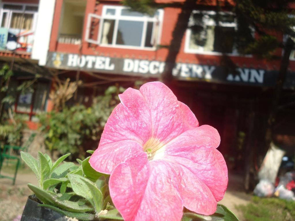 Discovery Bed & Breakfast 2*
