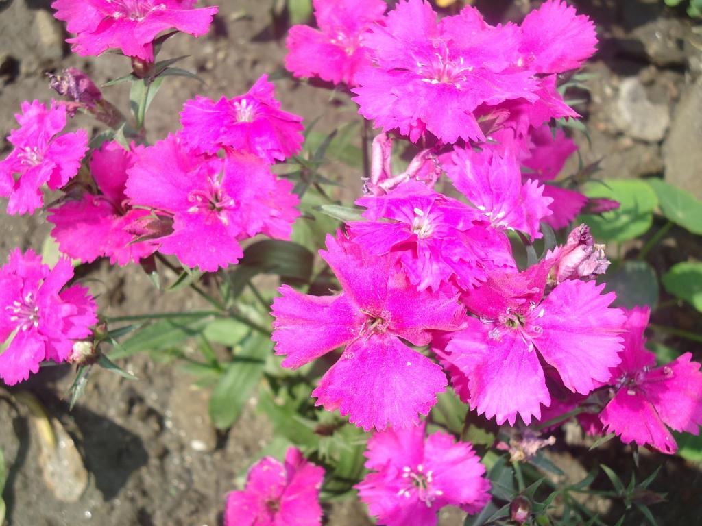 Bed & Breakfast Discovery Kathmandu