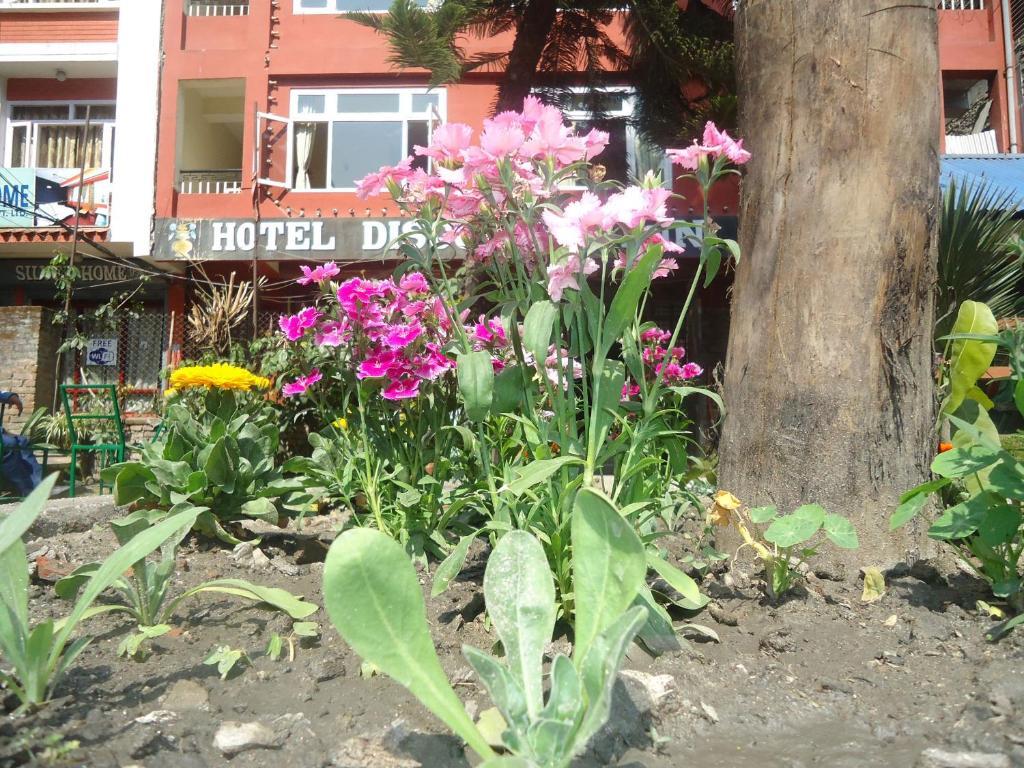 Discovery Bed & Breakfast