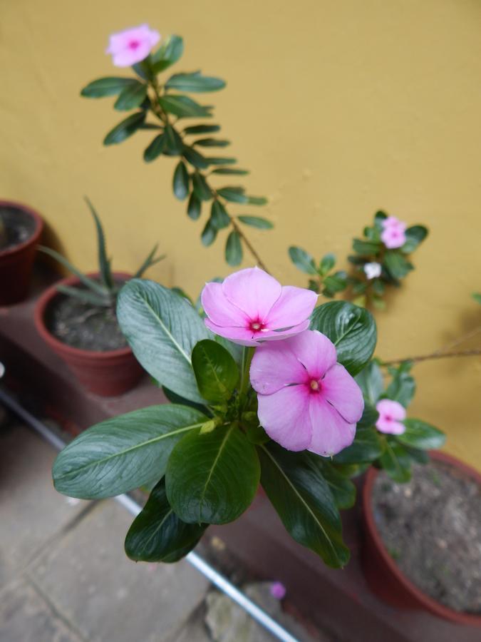 Giramondo Kathmandu