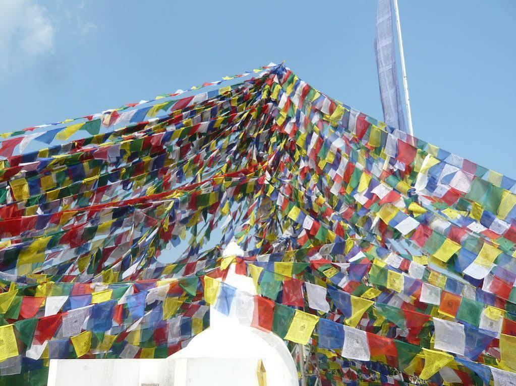 Bed & Breakfast Le Rhododendron D'hotes Kathmandu