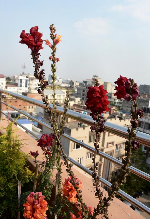 Hotel Kasthamandap Boutique