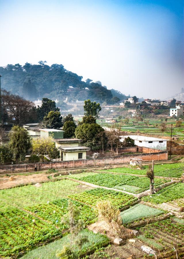 Be Here Now Guest house Kathmandu