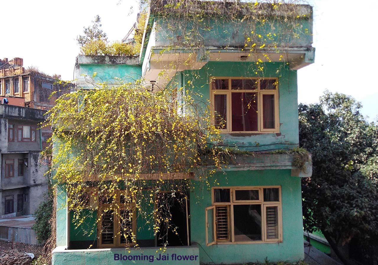 Hotel Impala Garden 2*