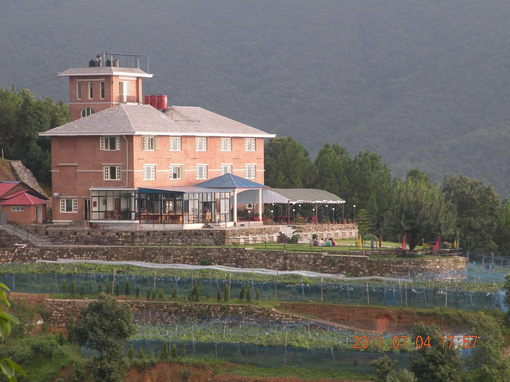 Pataleban Vineyard