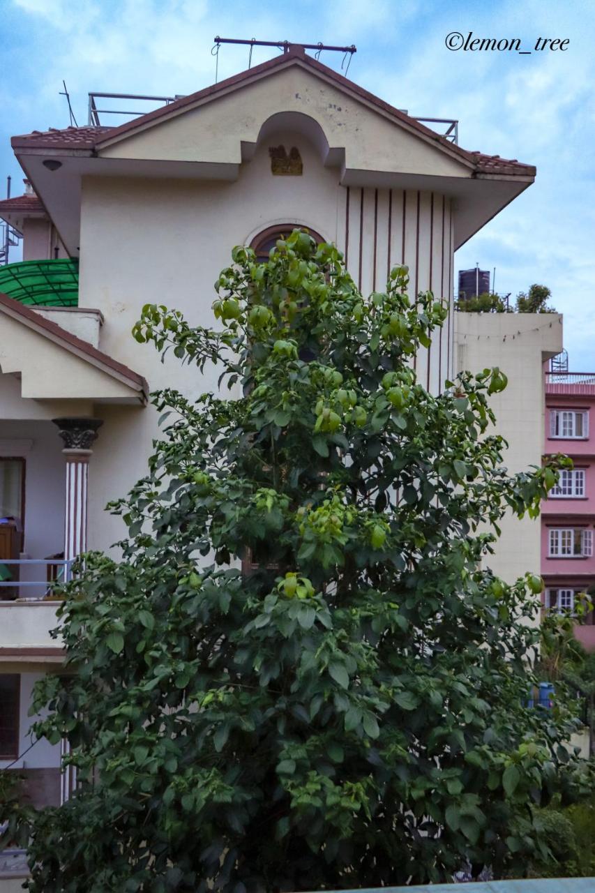 Apartment Lemon Tree & Home-stay Kathmandu