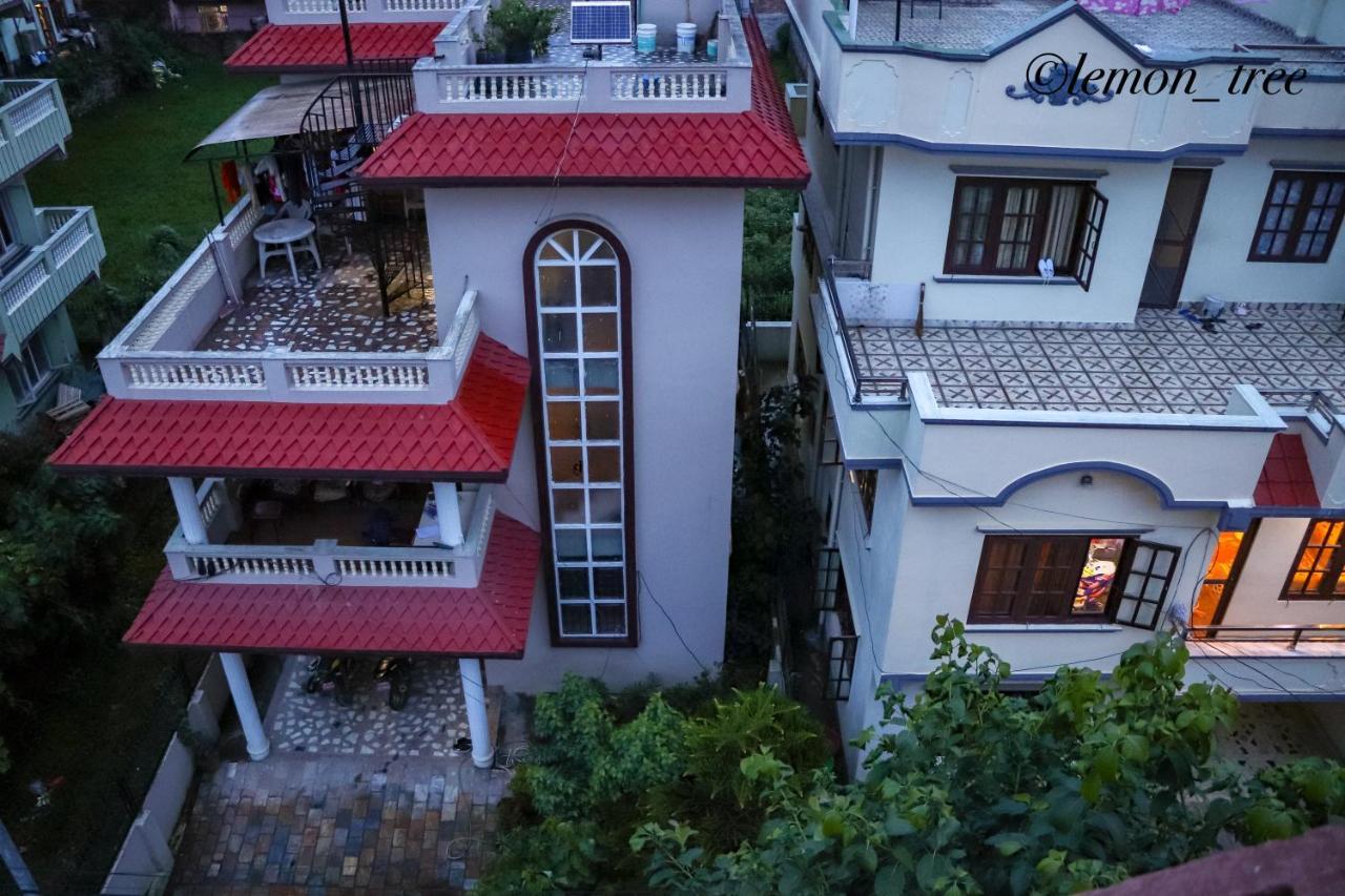 Apartment Lemon Tree & Home-stay Kathmandu
