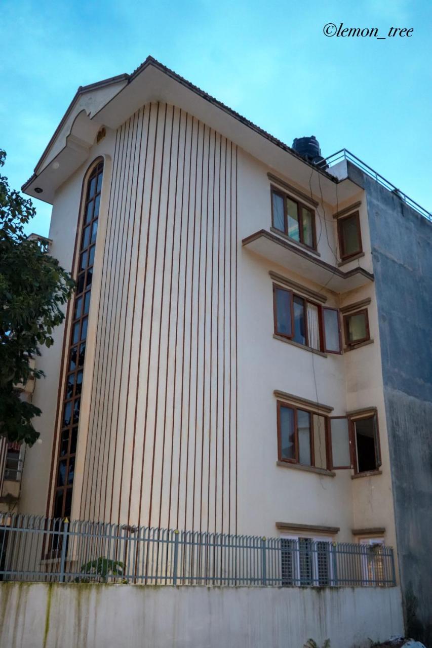 Apartment Lemon Tree & Home-stay *