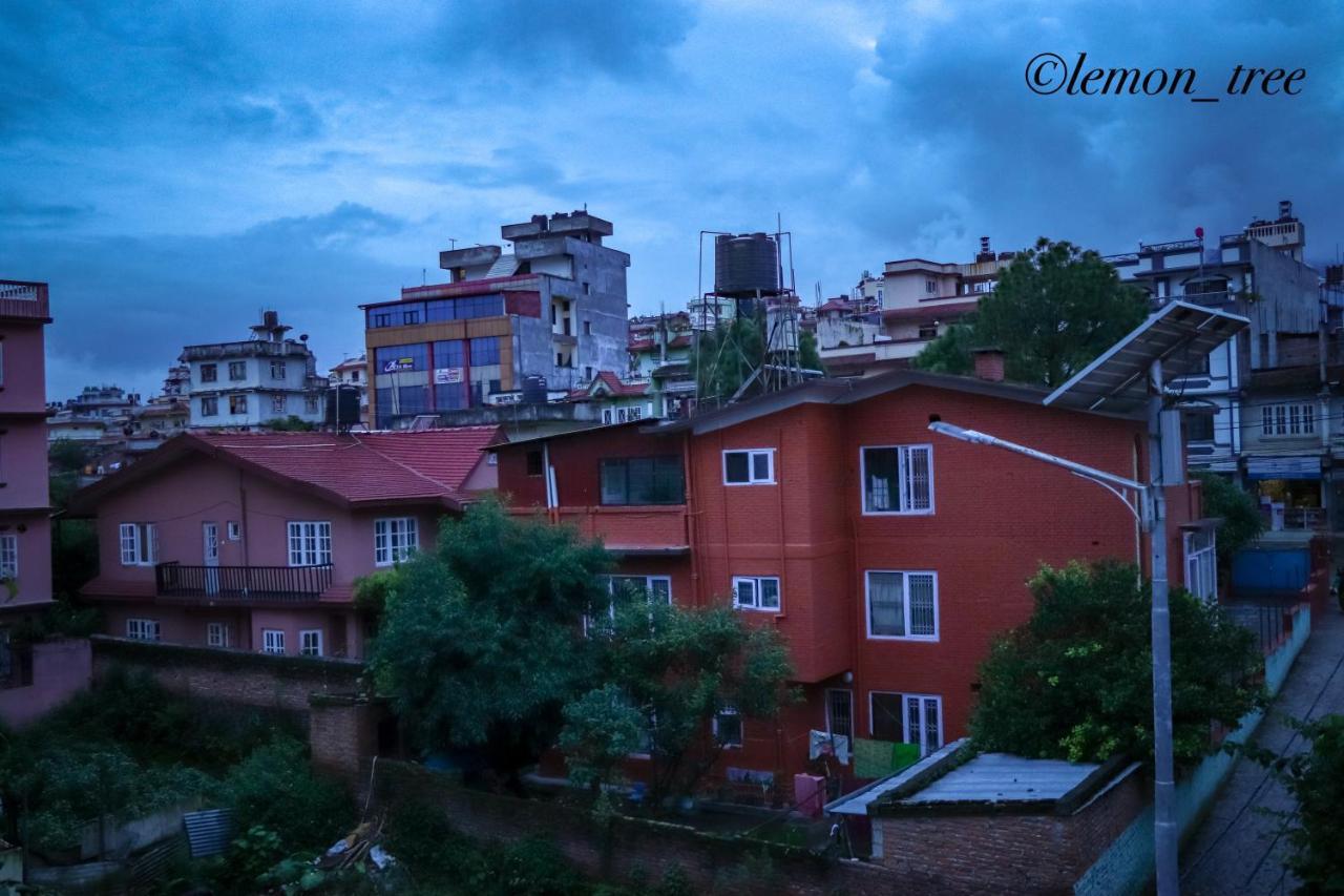Apartment Lemon Tree & Home-stay Kathmandu