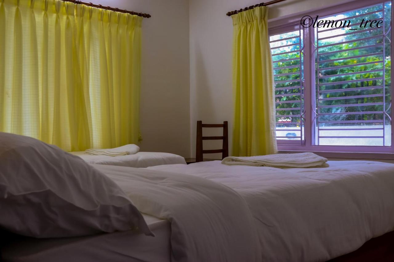 Apartment Lemon Tree & Home-stay