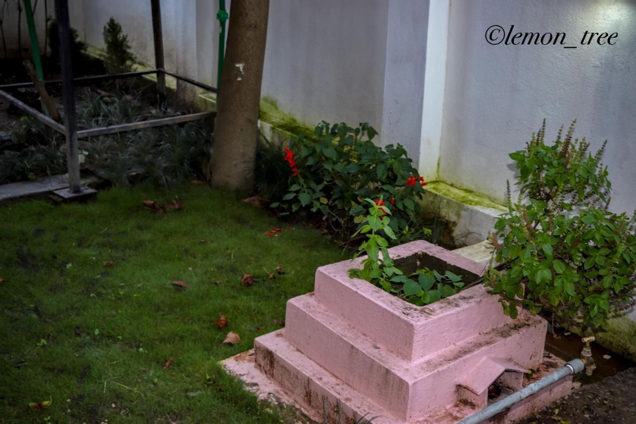 Apartment Lemon Tree & Home-stay Kathmandu