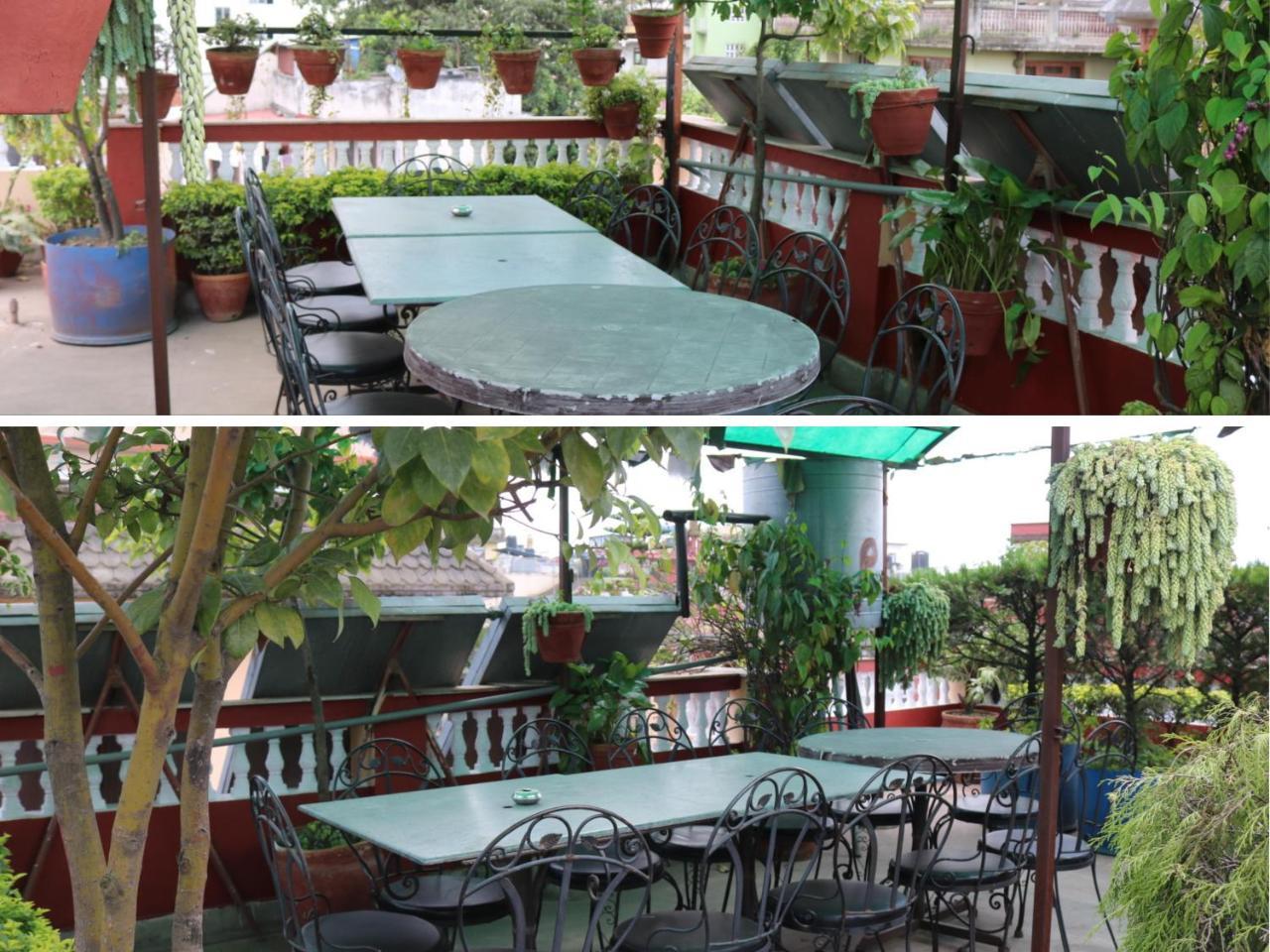 Guest house Peace 2*