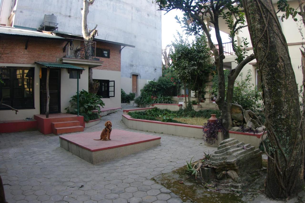 Laughing Buddha & Garden Theater Rumah tetamu