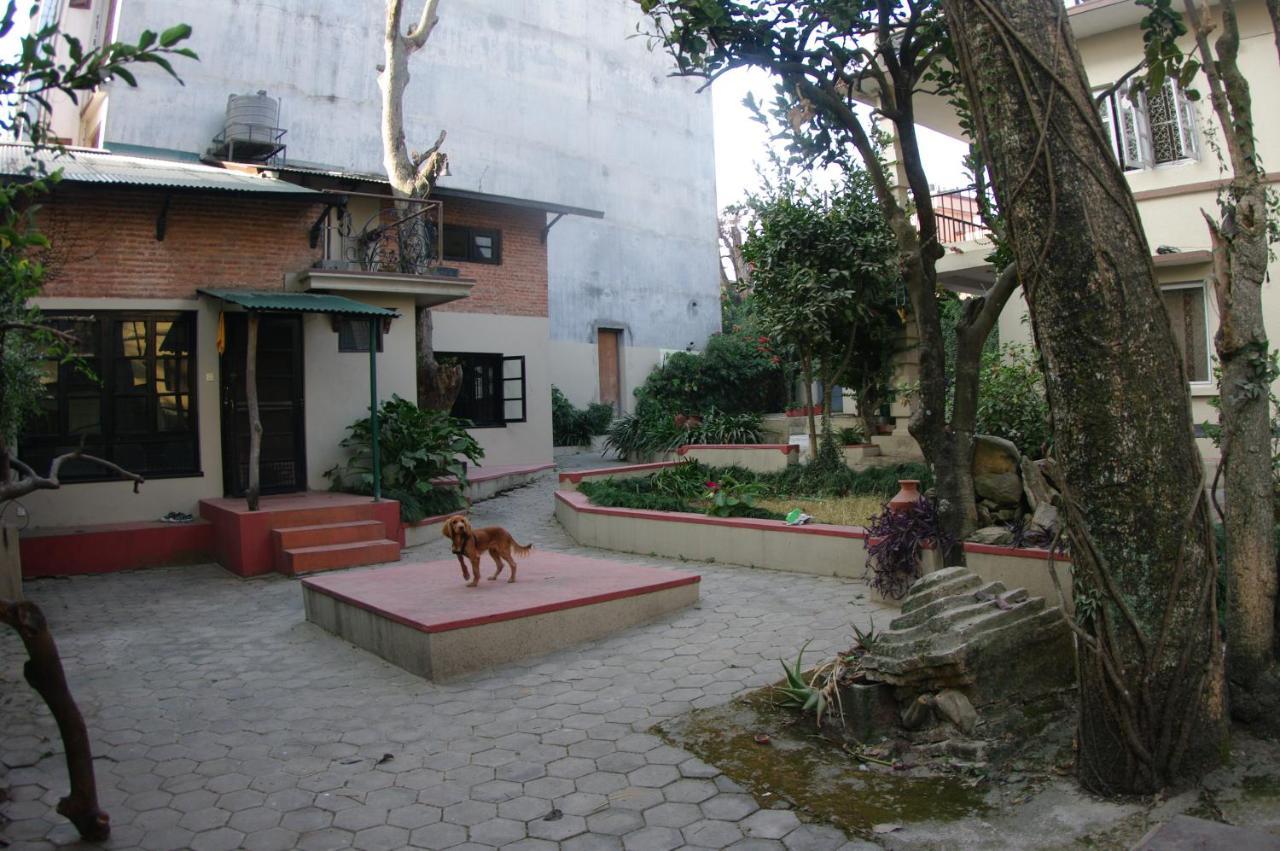 Laughing Buddha & Garden Theater