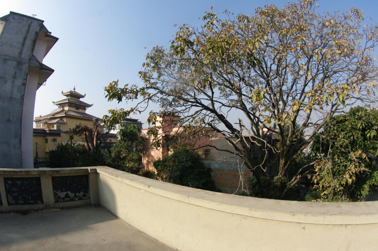 Laughing Buddha & Garden Theater * Kathmandu