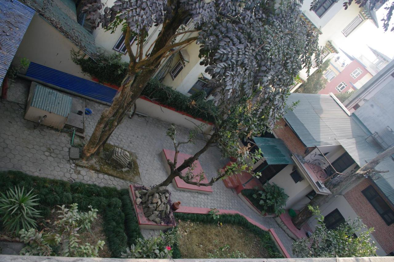 Laughing Buddha & Garden Theater Kathmandu